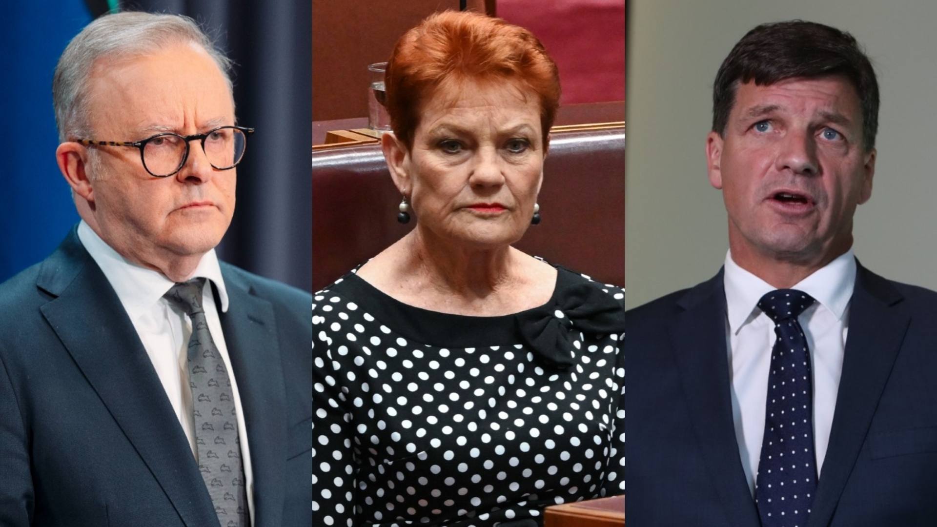 Liberals and One Nation consider joining forces to combat Labor
