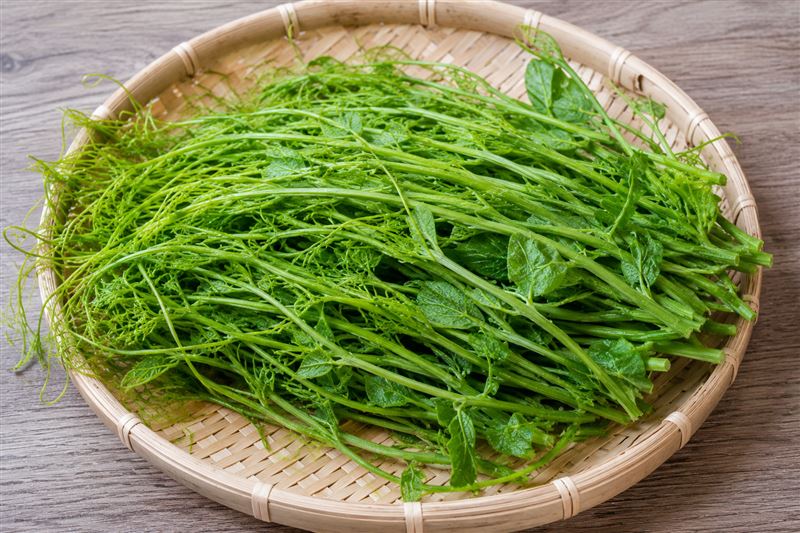 常被低估!「1平民神菜」增飽足感、控體重 營養師：煮錯恐狂吞油
