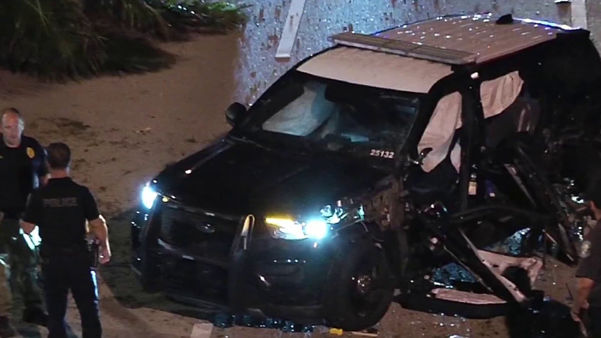 Police SUV involved in violent crash that downed palm tree in Hollywood