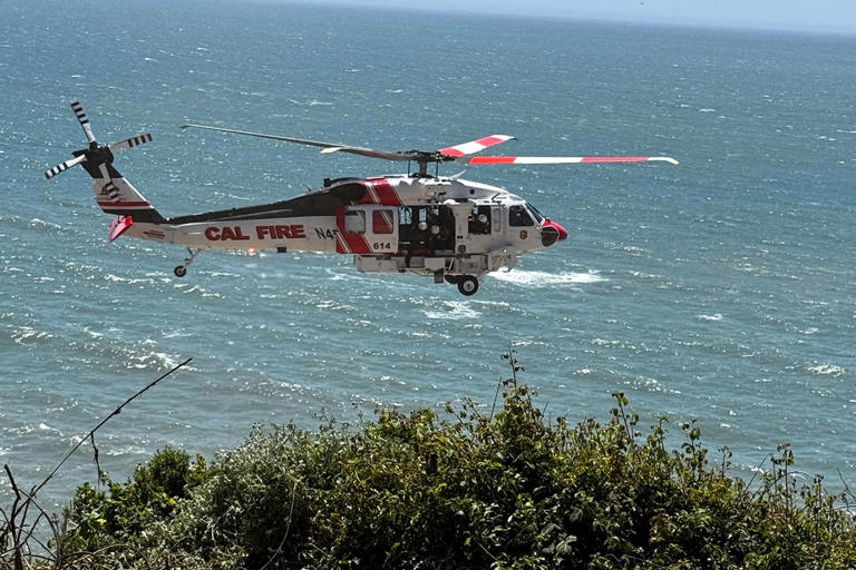 58-year-old man dies after his car plummets 500 feet off cliff before ...