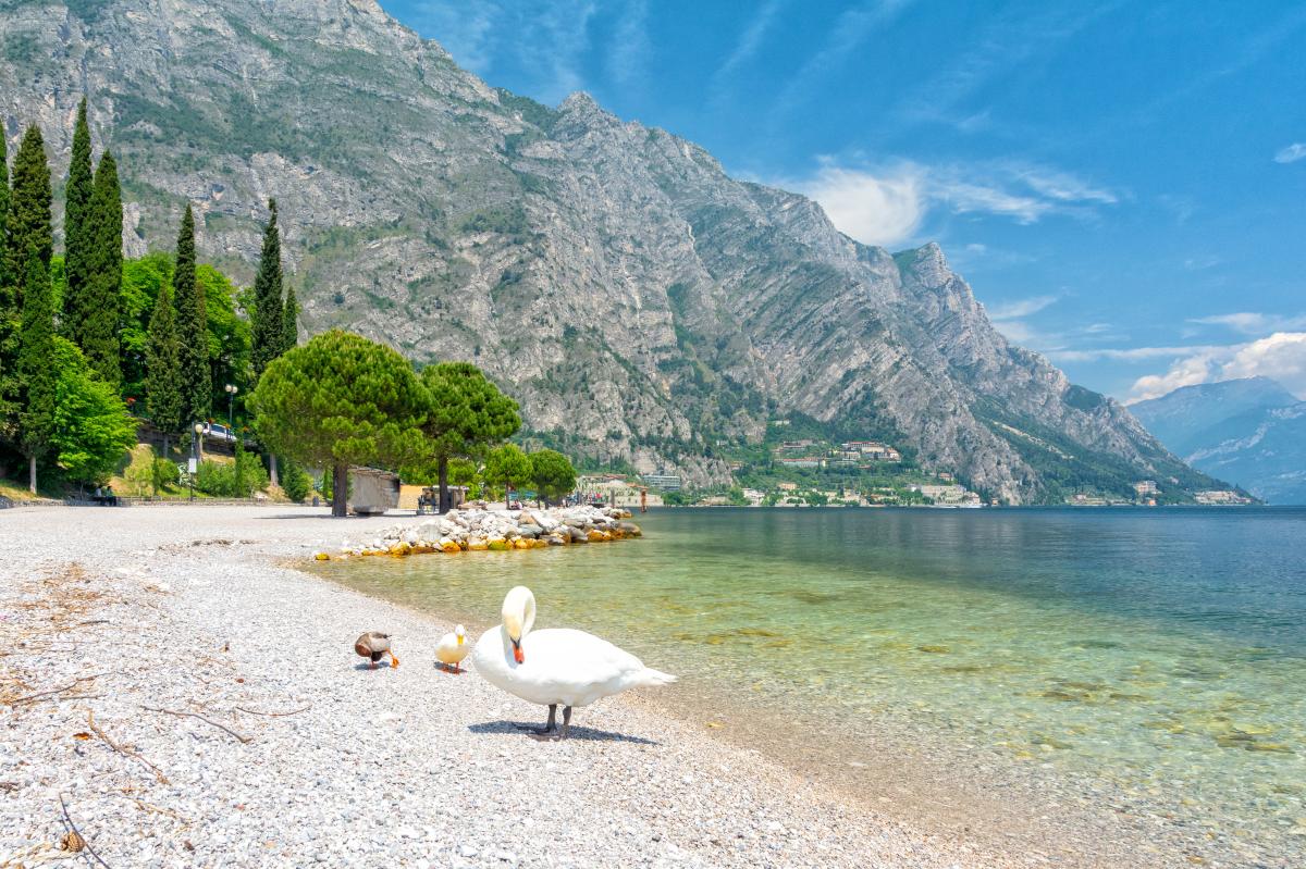 Spannende Schonster Ort Gardasee Bilder
