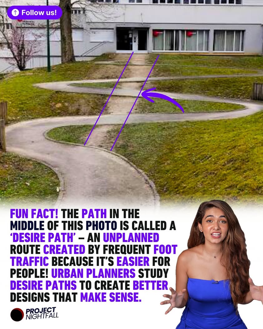 The ground never lies: Silent paths reveal design's brutal truth!