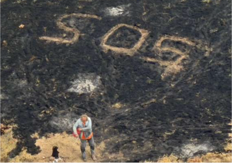 California's Santa Rosa Island fire possibly sparked by shipwreck SOS