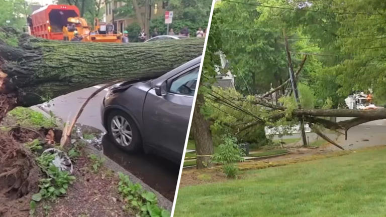 Storm cleanup underway before more stormy weather arrives today
