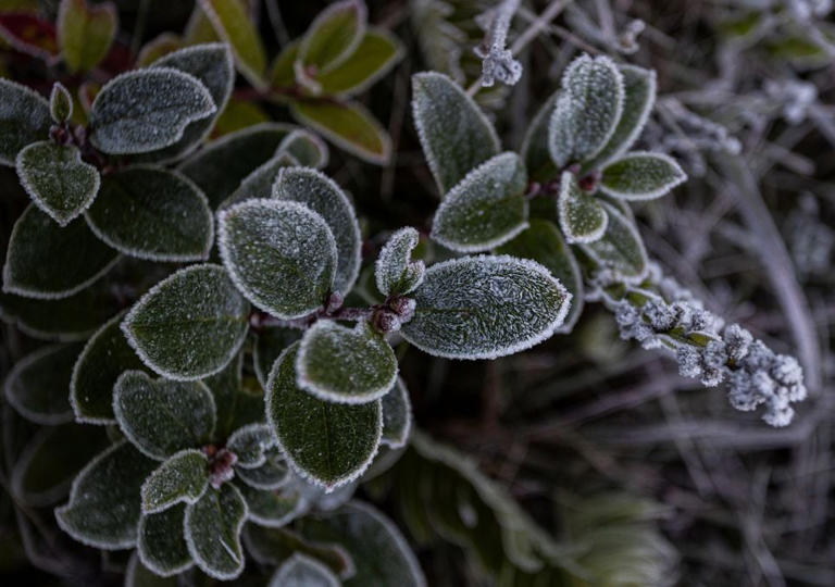 Ar polar se espalha pelo Brasil e deixa alerta de geadas em 726 cidades