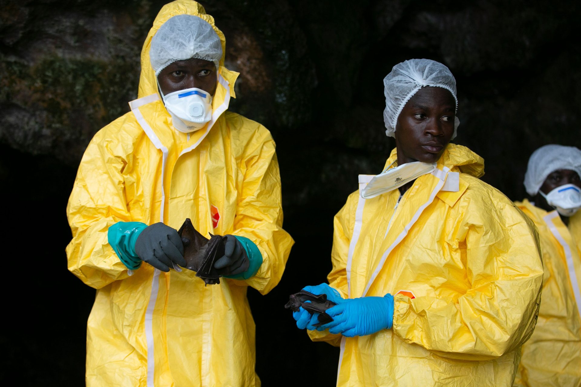 Épidémie d'Ebola : les modes de transmission et les effets sur la santé ...