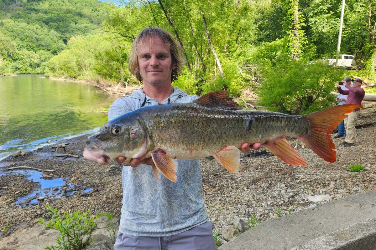 WVDNR announces 3 new state fishing records
