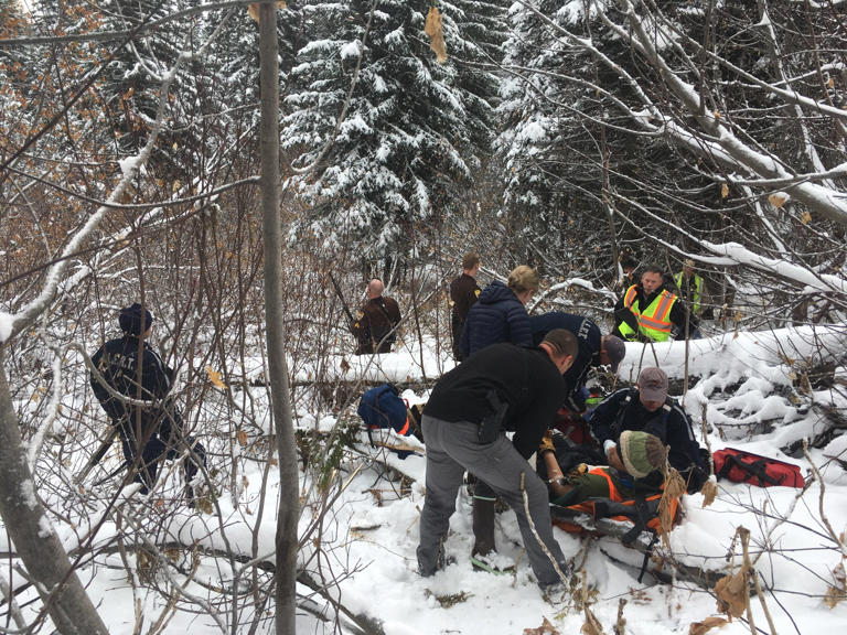 What it’s like to survive a grizzly bear attack