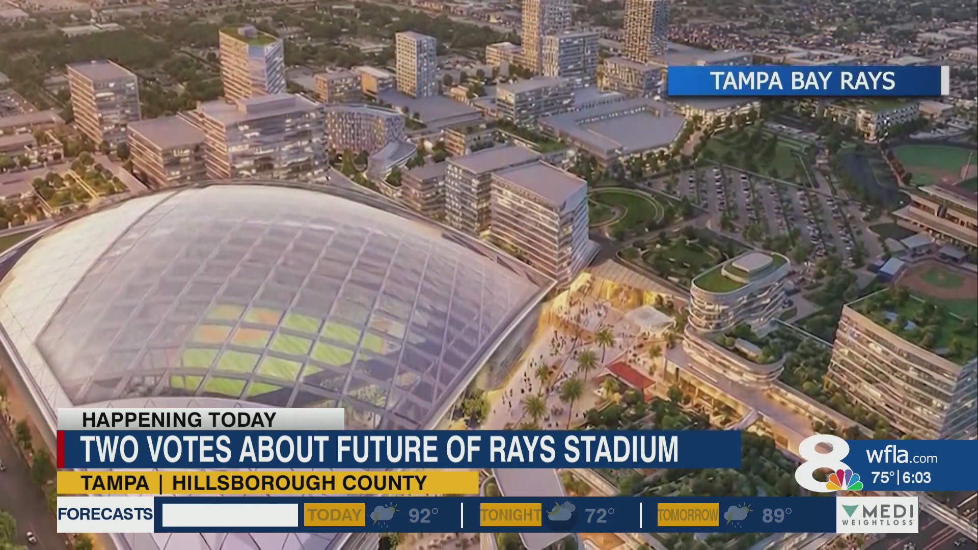 Hillsborough leaders, HCC trustees set for key votes on proposed Rays ...