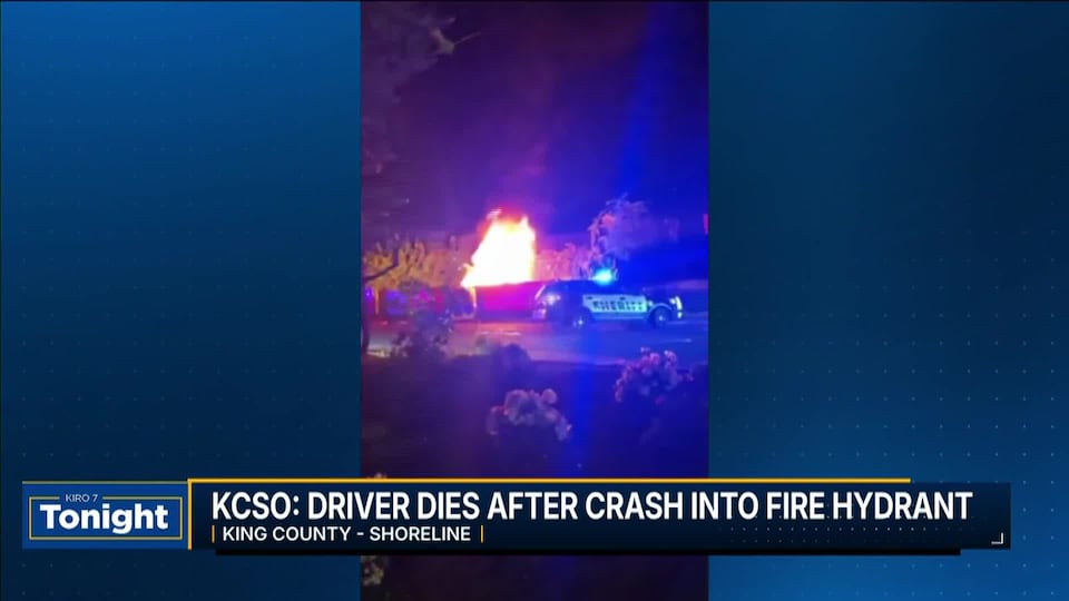 Video: Driver dies after fiery crash into fire hydrant