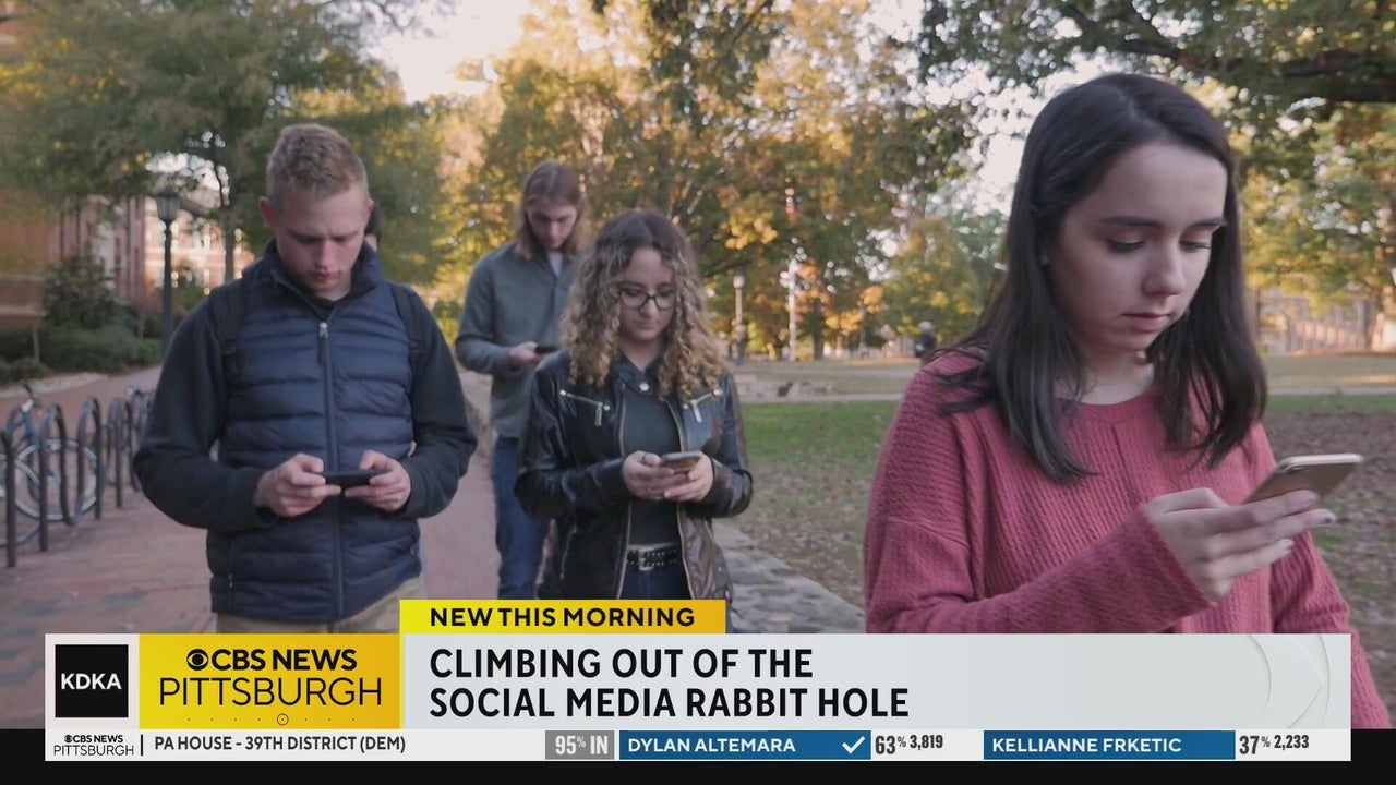 How you can climb out of the social media rabbit hole