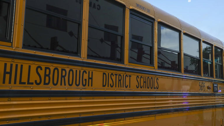 Weapon detection system too costly, Pinellas school officials say