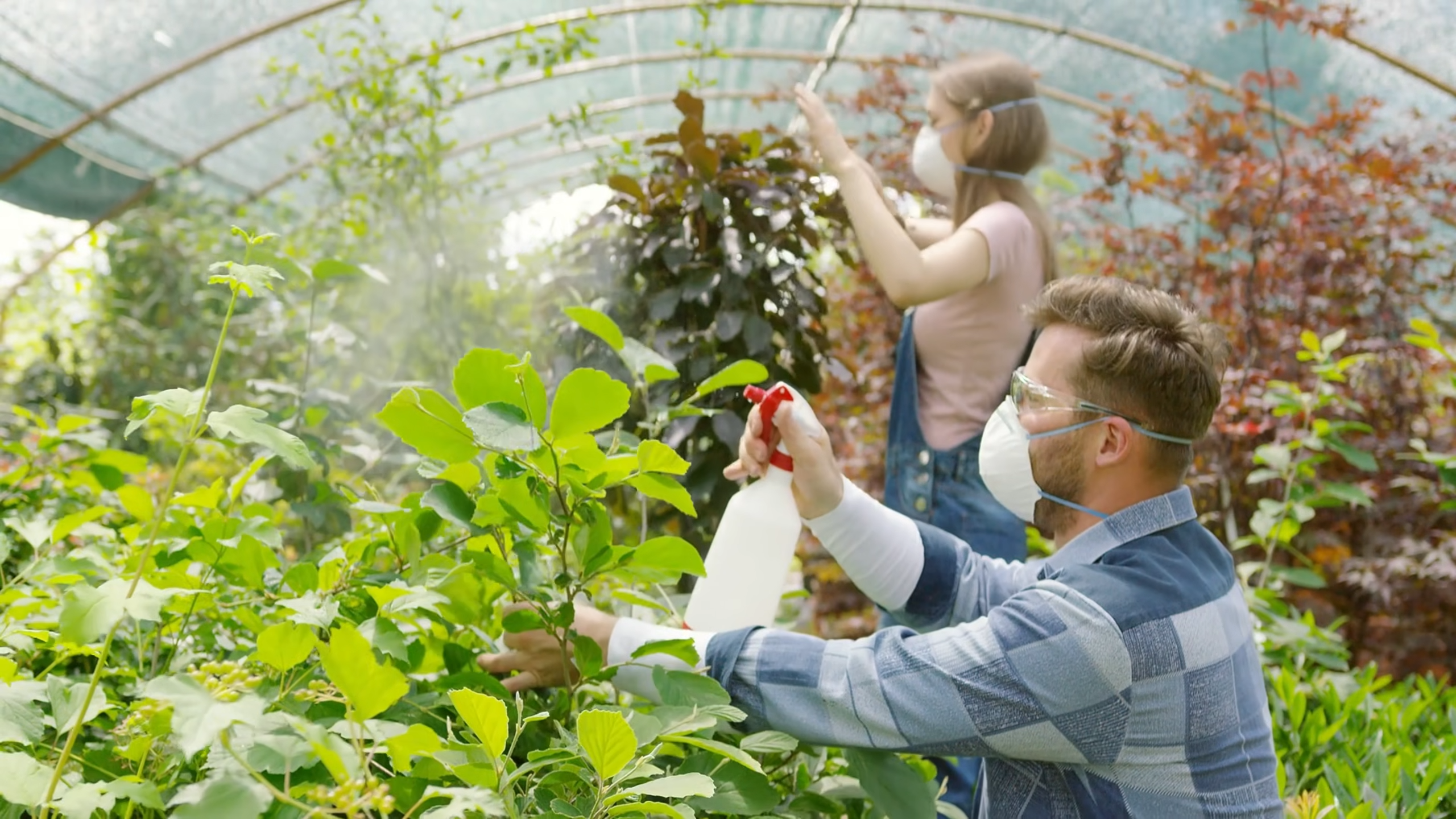This $0 fertilizer grows plants insanely fast