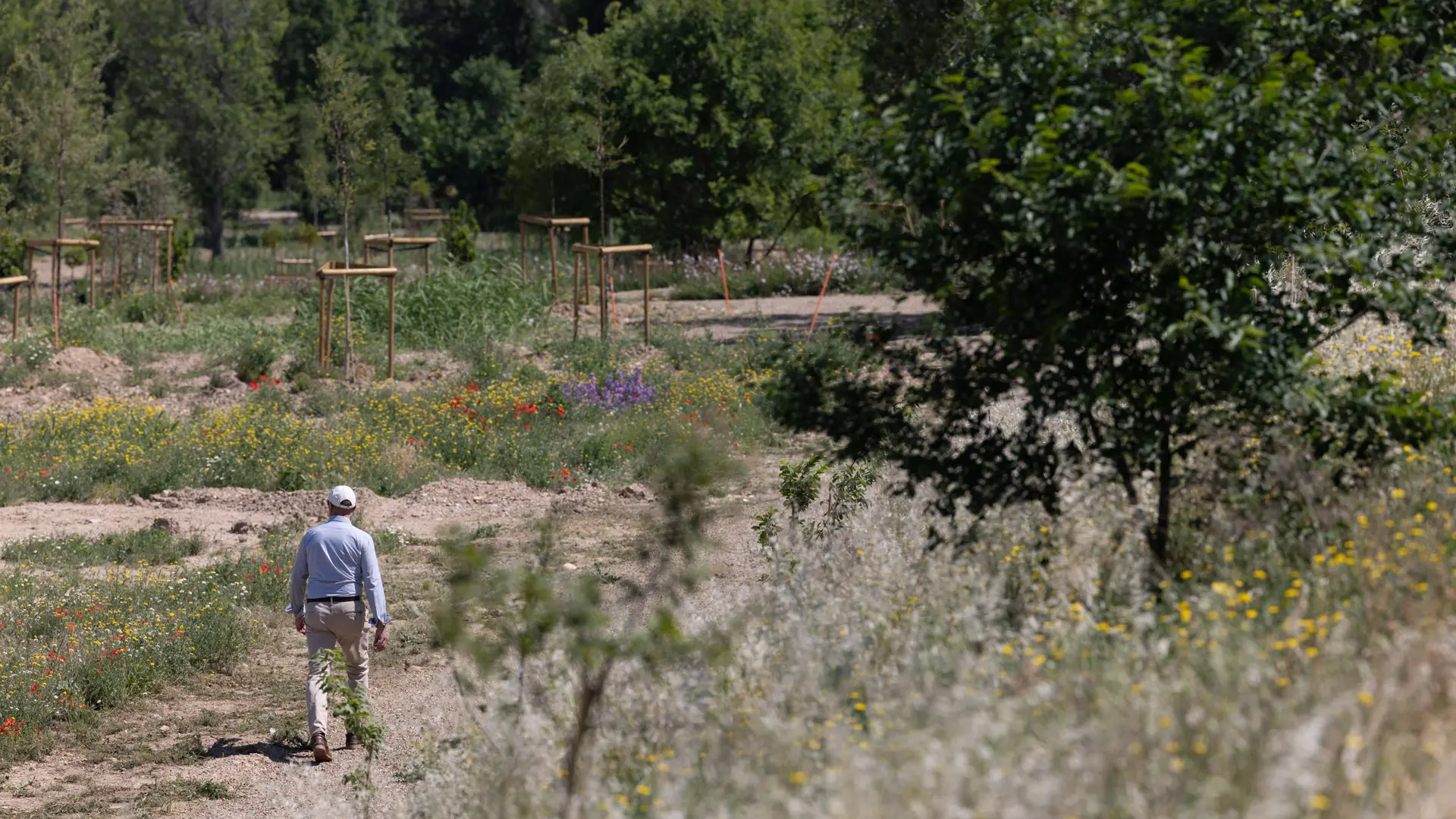 El gran bosque del barrio de Las Fuentes en Zaragoza será una realidad ...
