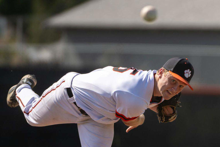 Meet the Sacramento Bee's 2026 baseball players of the year and All ...