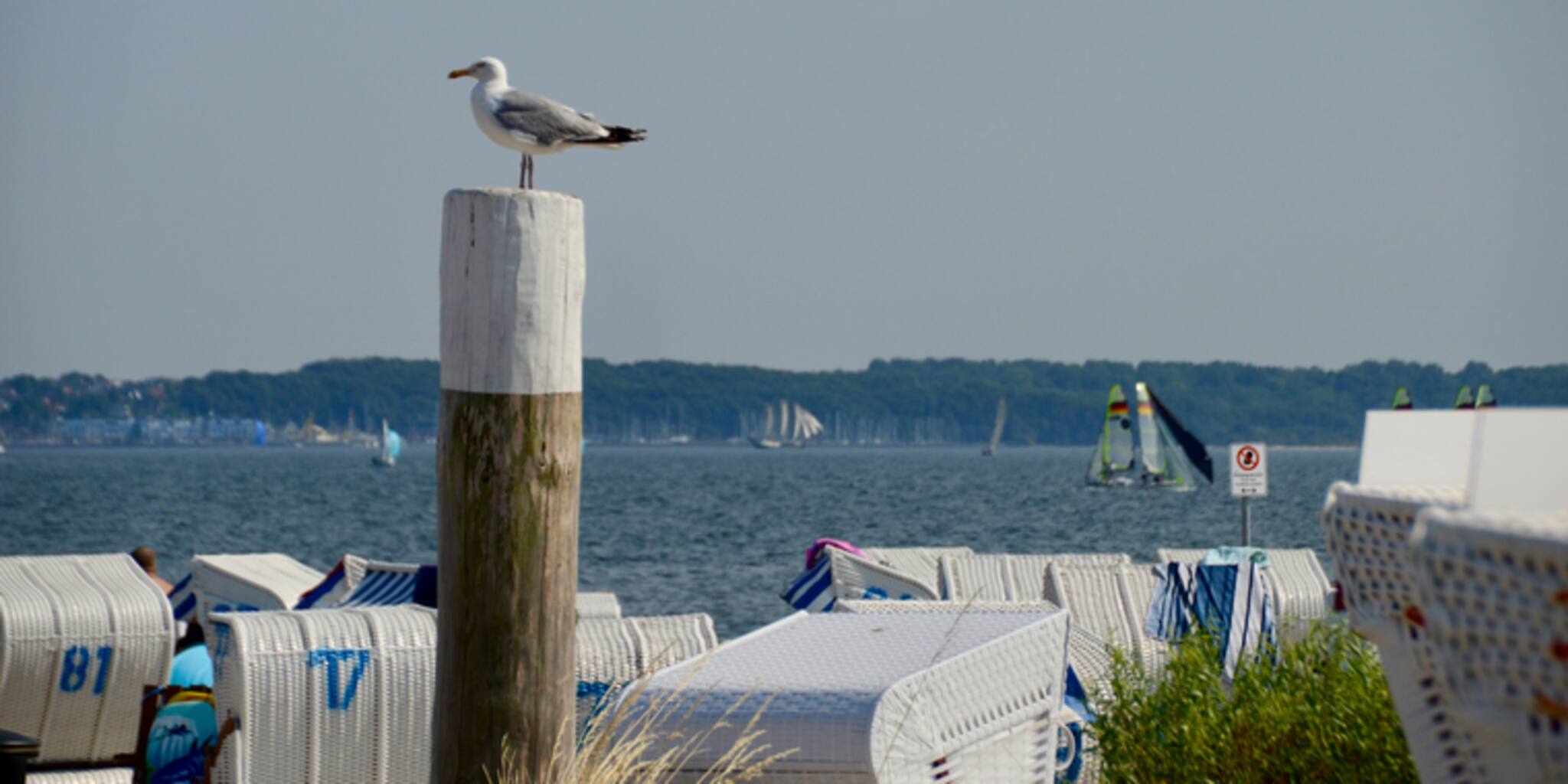 Der Ostsee-Strand von Strande im KN-Check: Das müssen Sie wissen