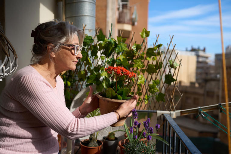 Cohousing femenino: la alternativa para vivir acompañadas y evitar la soledad que conquista a las mujeres mayores