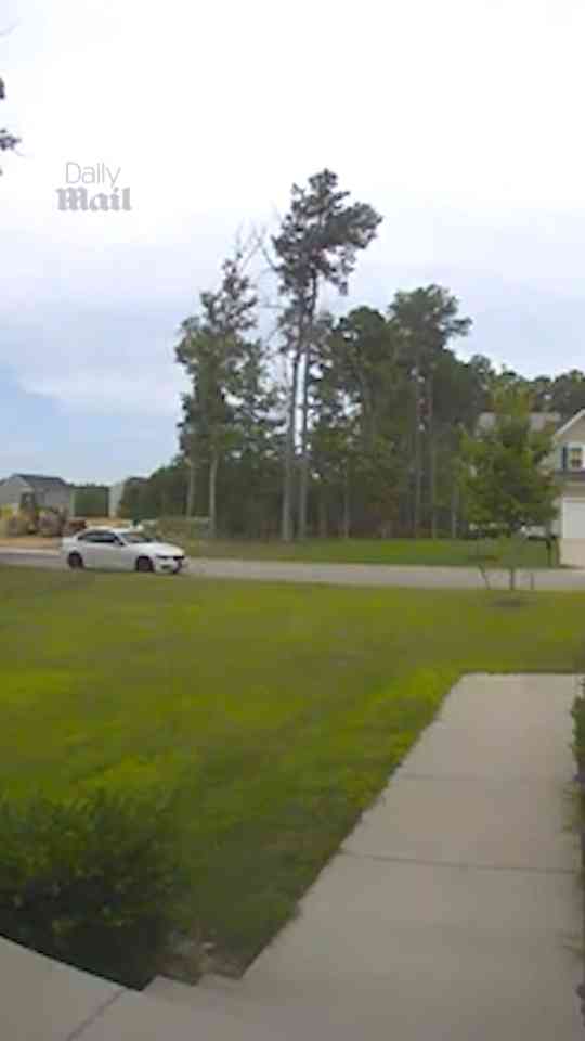 Suspect snatches package straight from FedEx driver’s hands