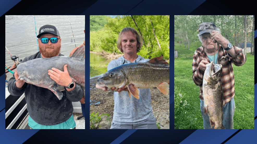DNR: Three record-breaking fish hauled from West Virginia waters this ...