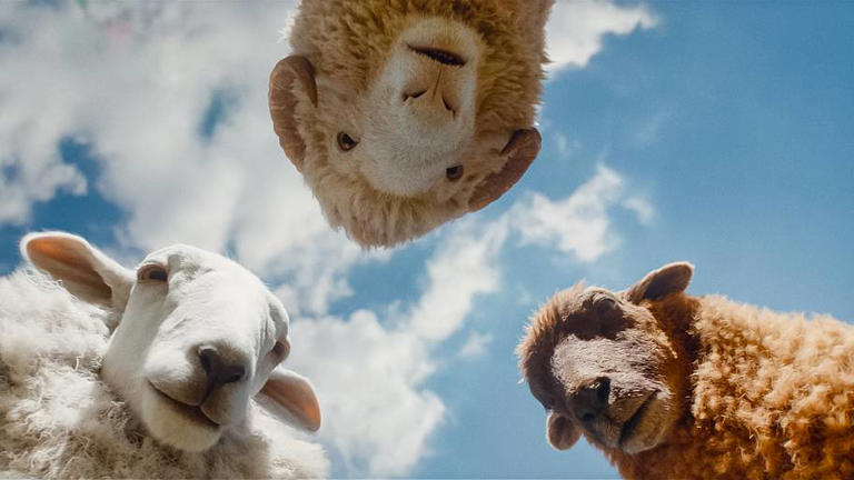 The Sheep Detectives quietly reunites two Game of Thrones stars (and ...
