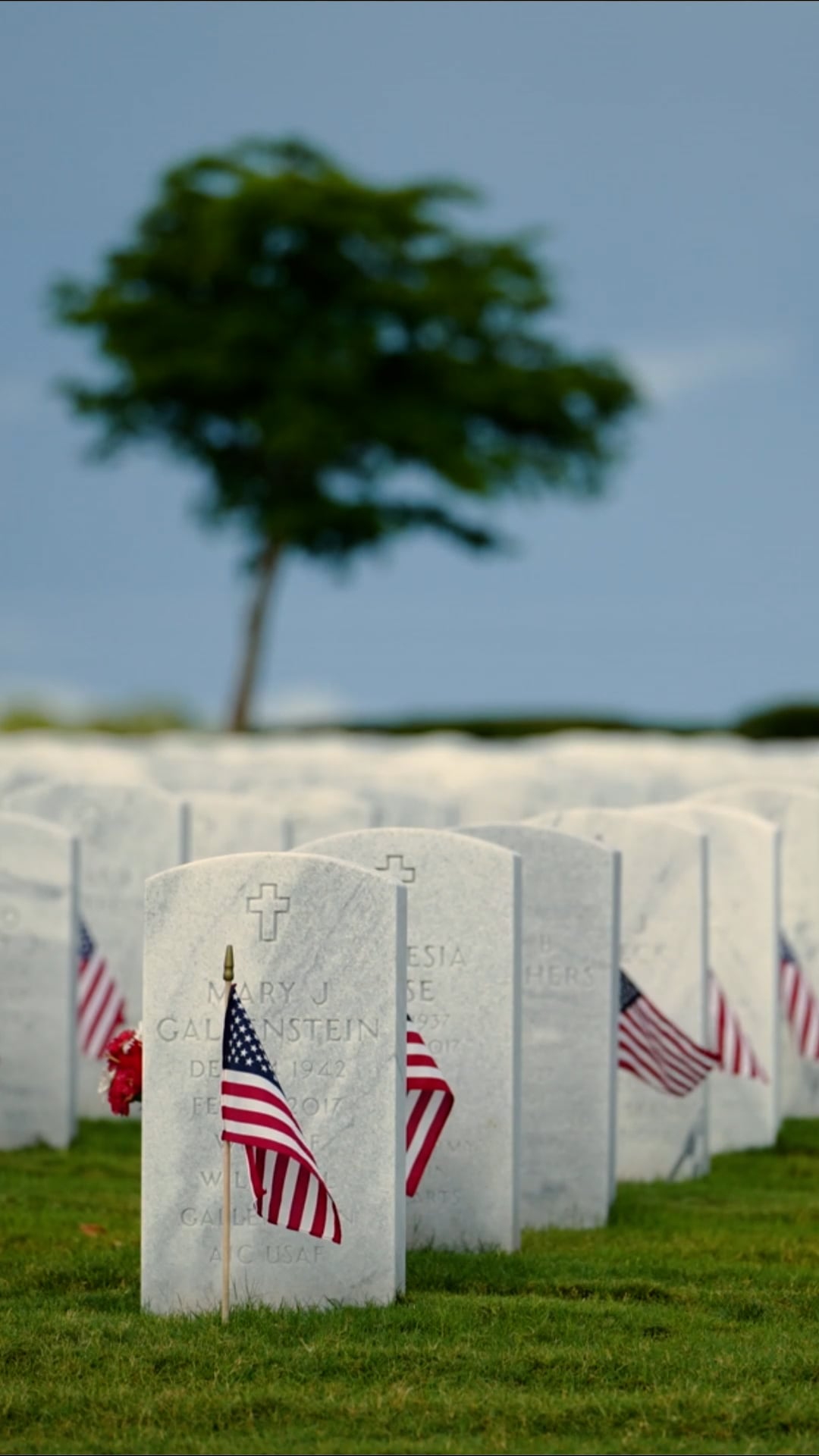 The Origins Behind Memorial Day?
