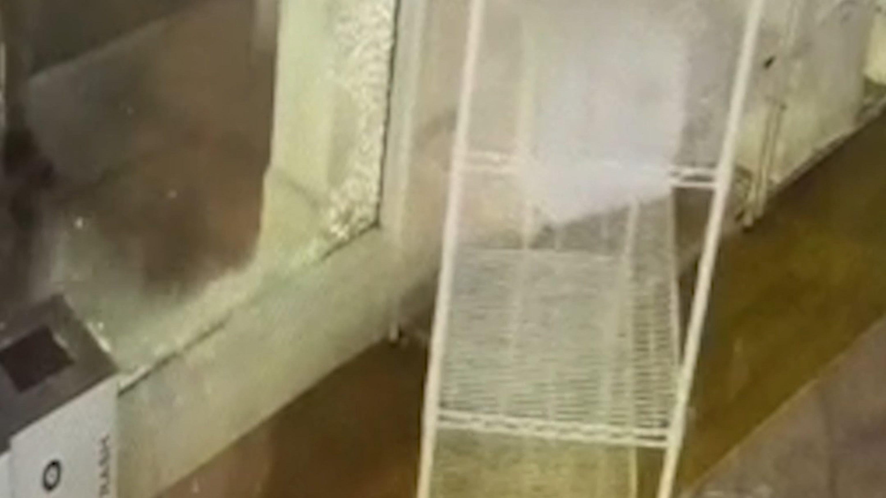 Man hurls keg through bakery window, causing $10,000 in damage