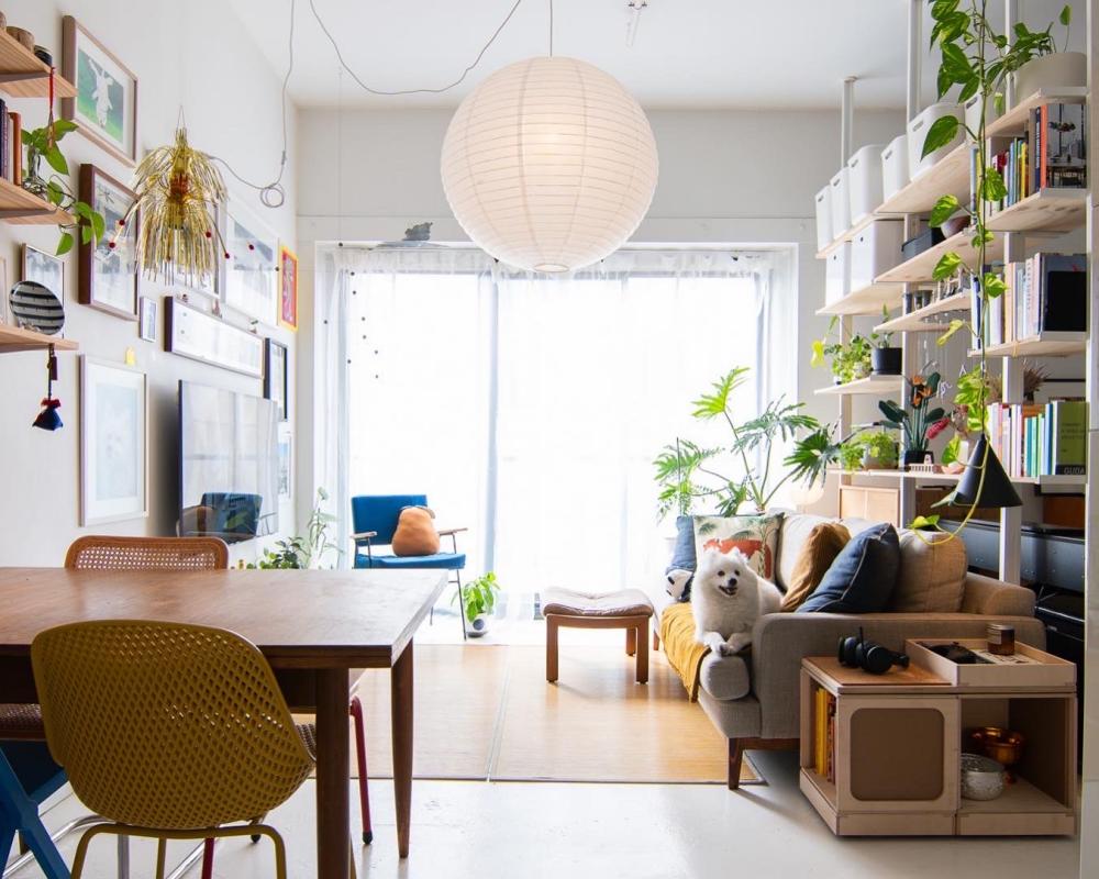 Open plan is not the answer: design professionals on the dos and don'ts of small space living