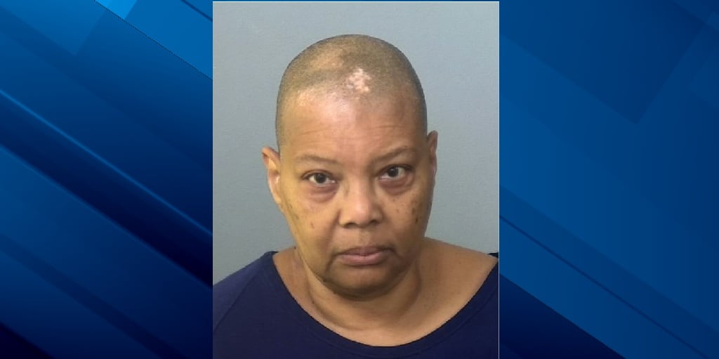 Suncoast teacher arrested on child abuse charge after allegedly ...