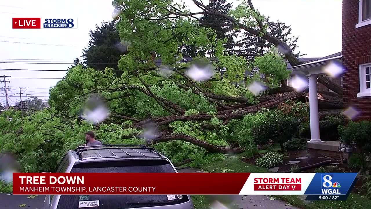 Storms sweep through Susquehanna Valley, toppling tree in Lancaster County