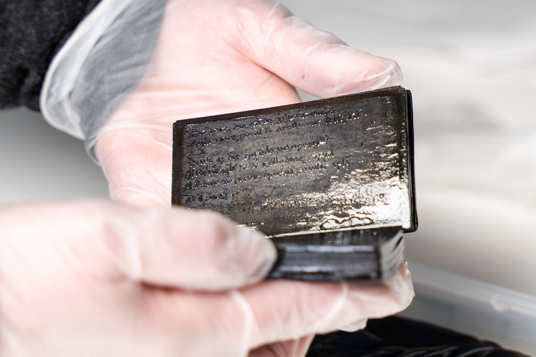 From a medieval latrine in Germany, archaeologists extracted a pristine ...
