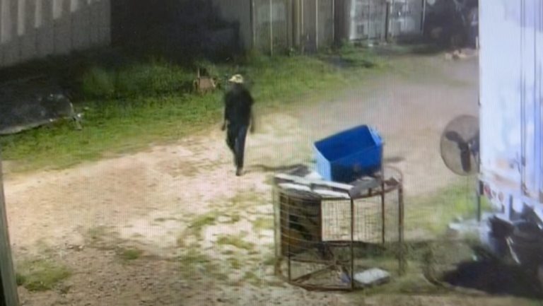 Suspect wanted in string of ARF burglaries in Jackson