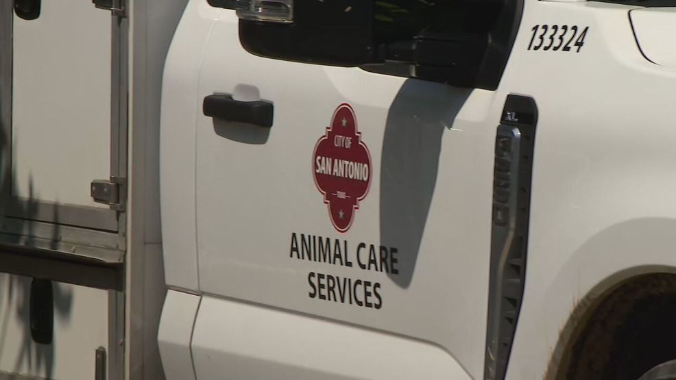 Officer shoots aggressive dog during West Side attack; animal now in ...