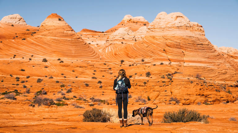 A new map grades how your lawmakers voted on national parks and public ...
