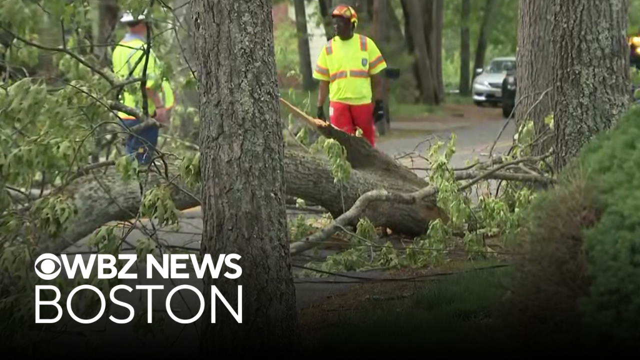 Off-duty firefighter hurt saving others from falling tree limb in ...