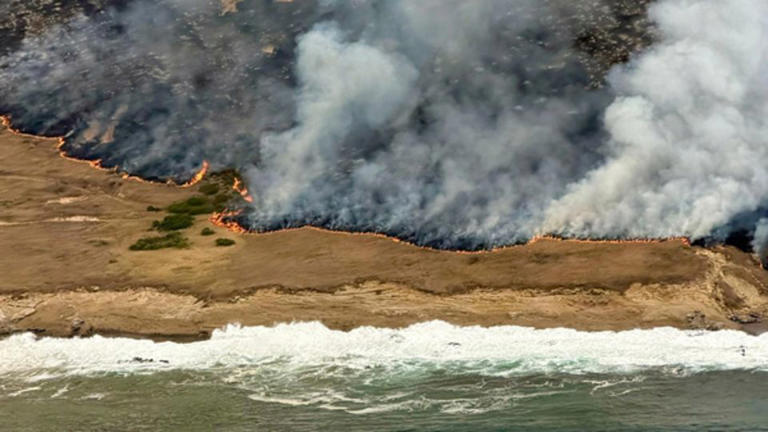 A third of National Park island home to rare wildlife has burned in ...