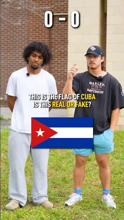 Real or fake country flag