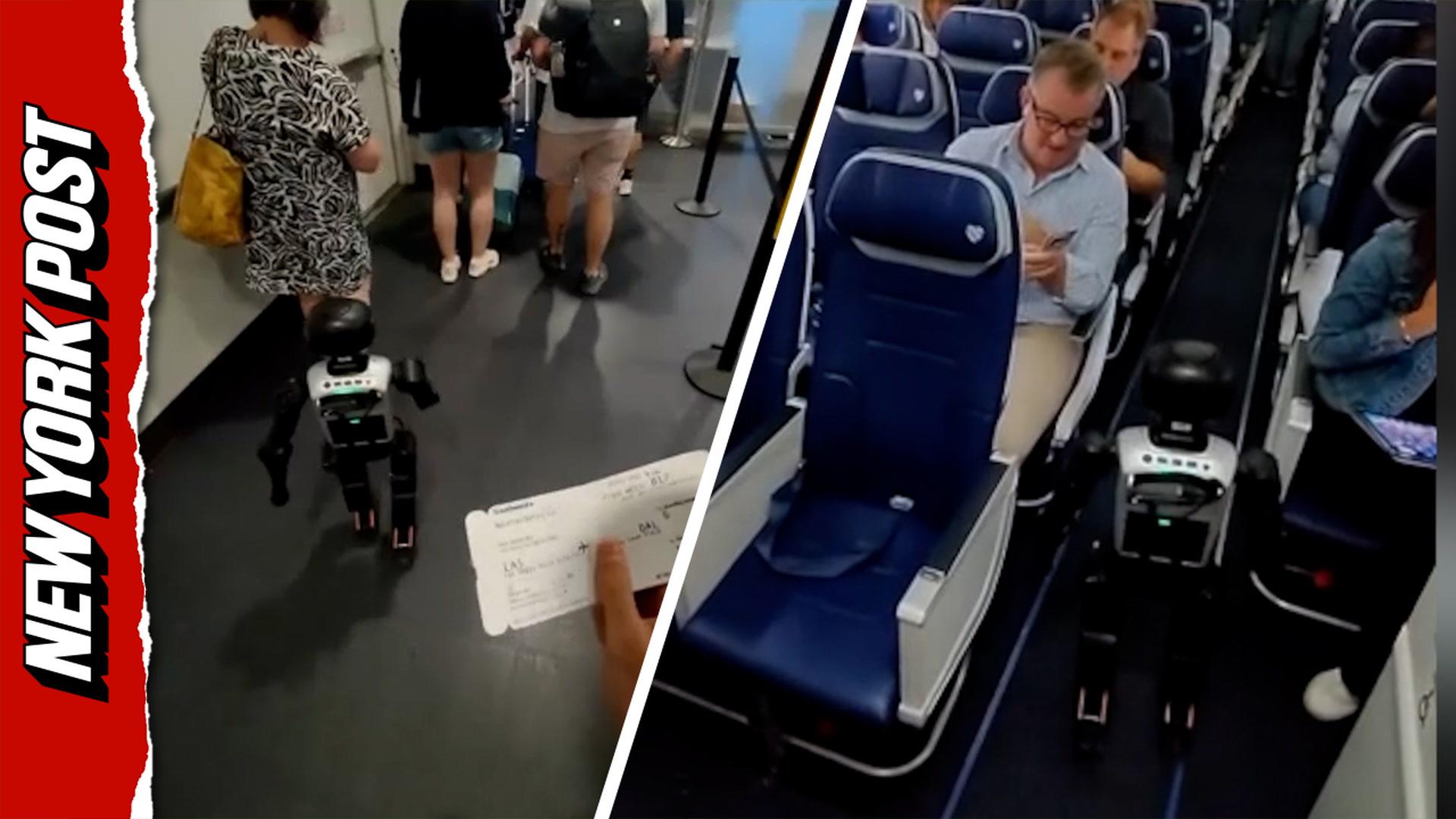 Robot takes a Southwest flight out of Las Vegas