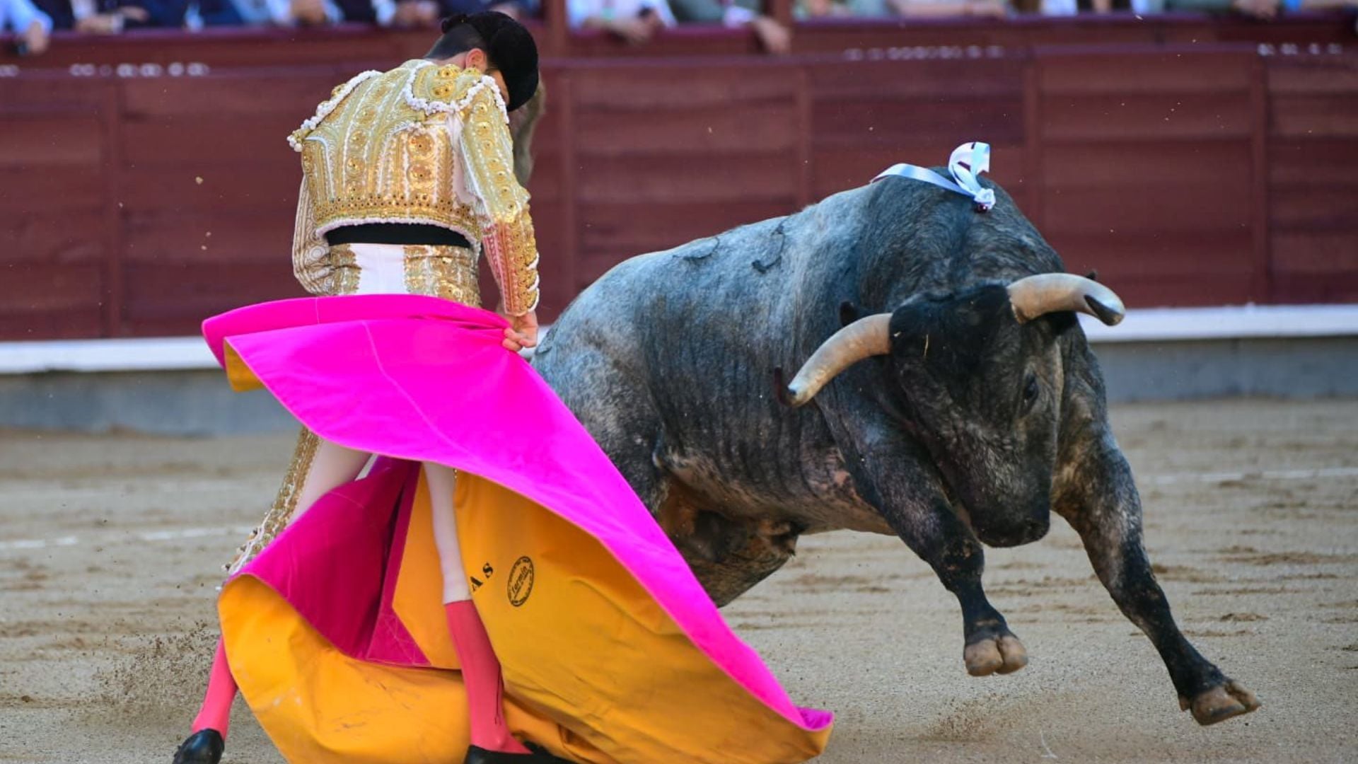 El deslucido juego de los toros de Saltillo apaga las faenas de Venegas ...