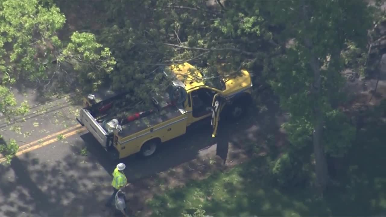 Off-duty firefighter injured by falling tree limb