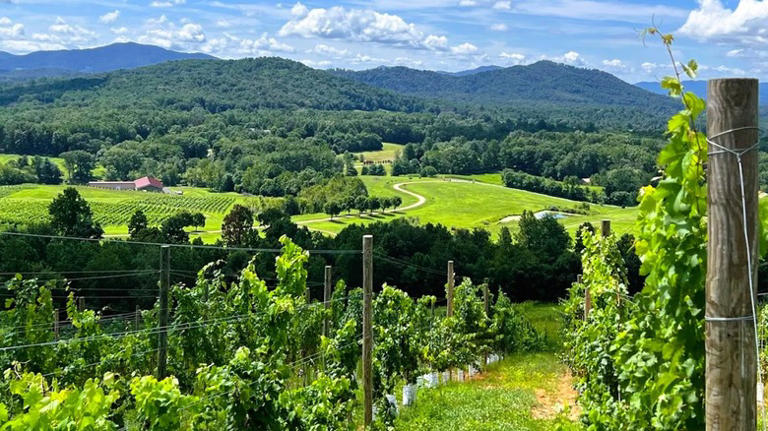 Virginia's charming Blue Ridge town is a serene escape for cozy ...