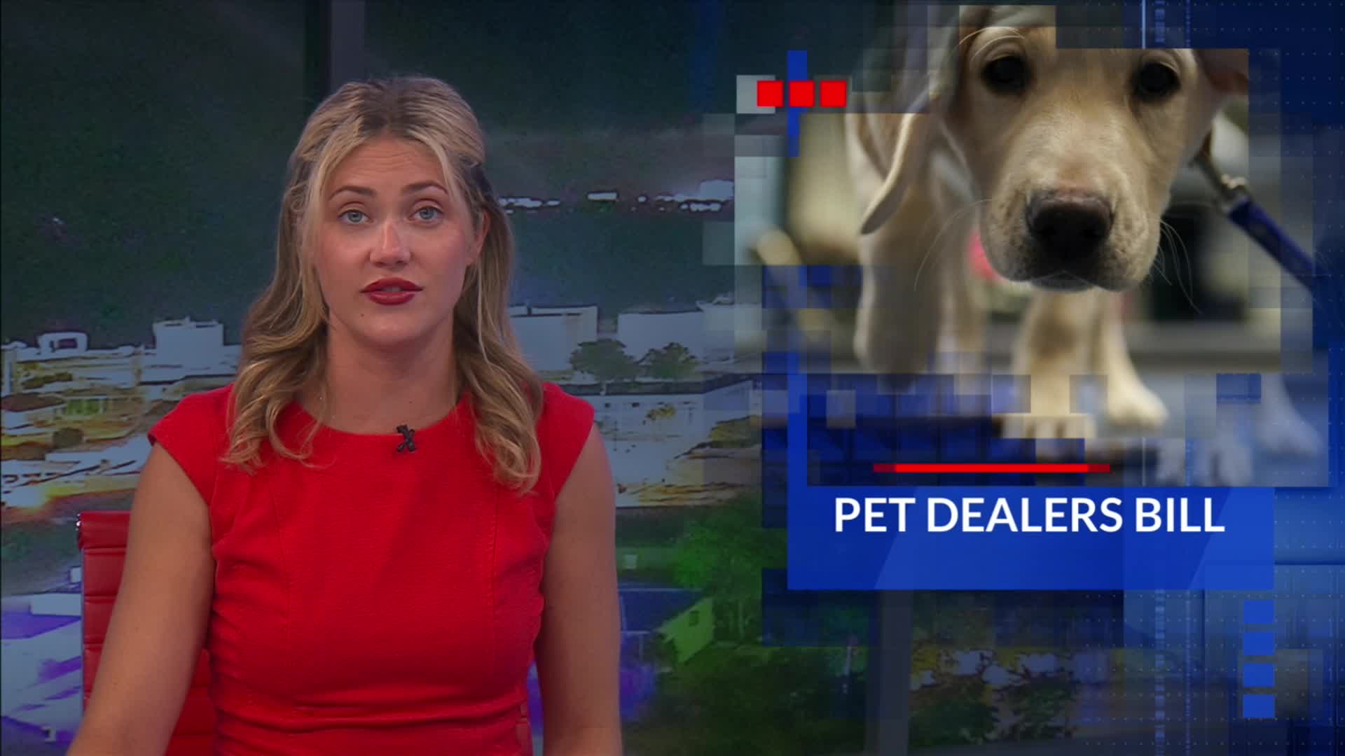 Local humane society backs new bill protecting pet owners