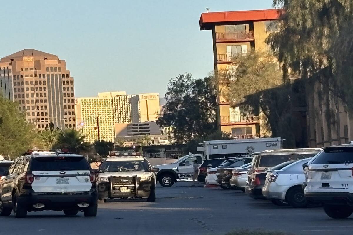 Las Vegas man, 28, dies in stabbing near Strip