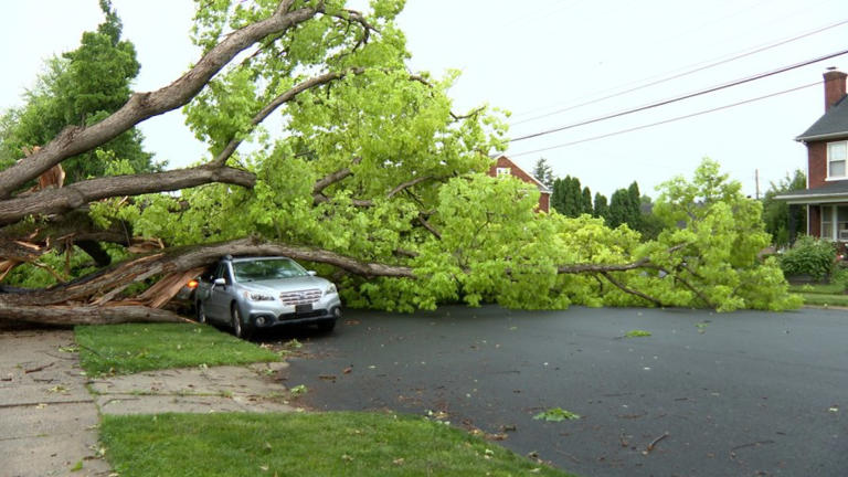 Photos: Storm leaves trail of damage across Midstate