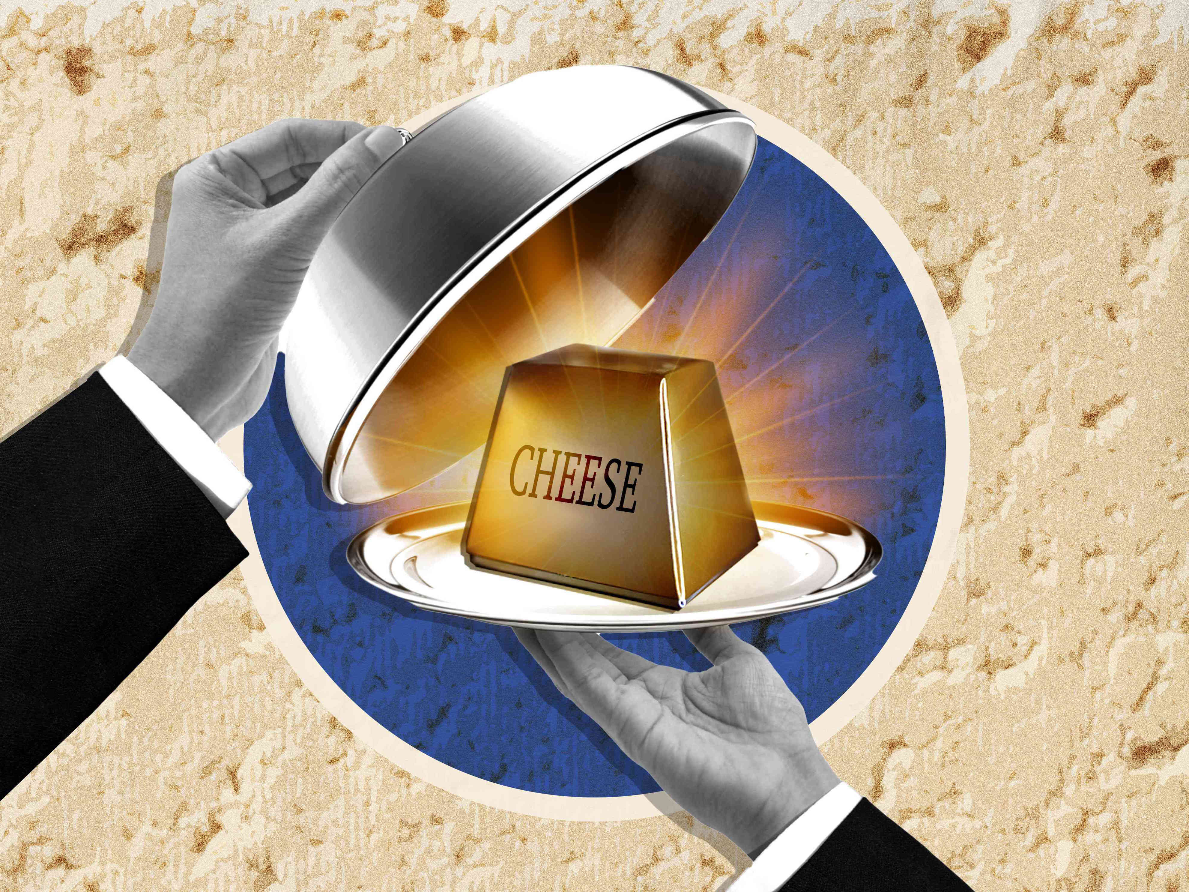 The most expensive cheese in the world doesn't come from a cow, goat, or sheep