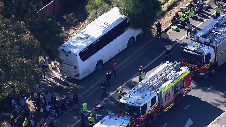 Driver fighting for life, kids hospitalised after bus crashes into tree