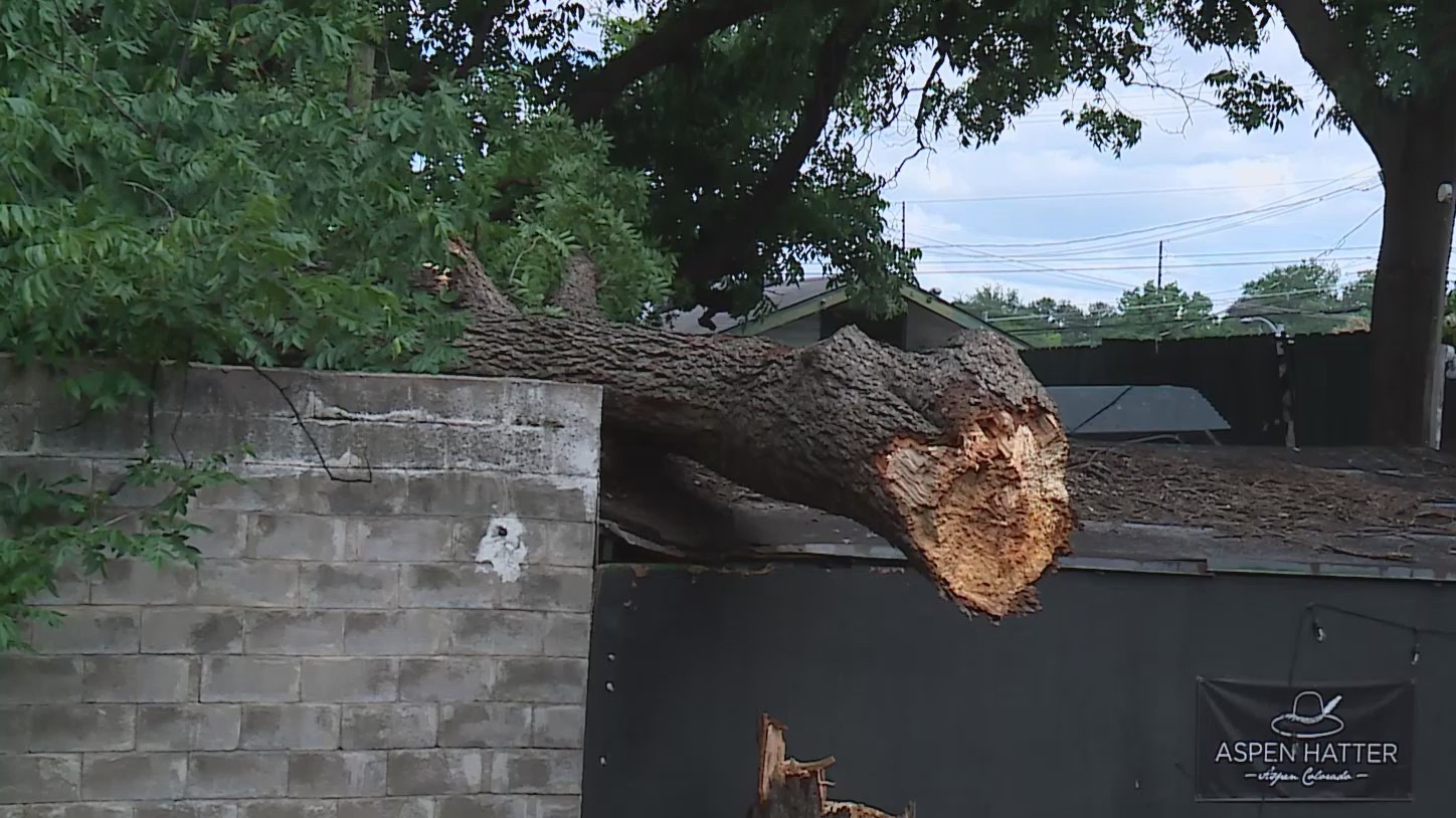 Man seriously injured at Green Mesquite BBQ after tree falls during storm