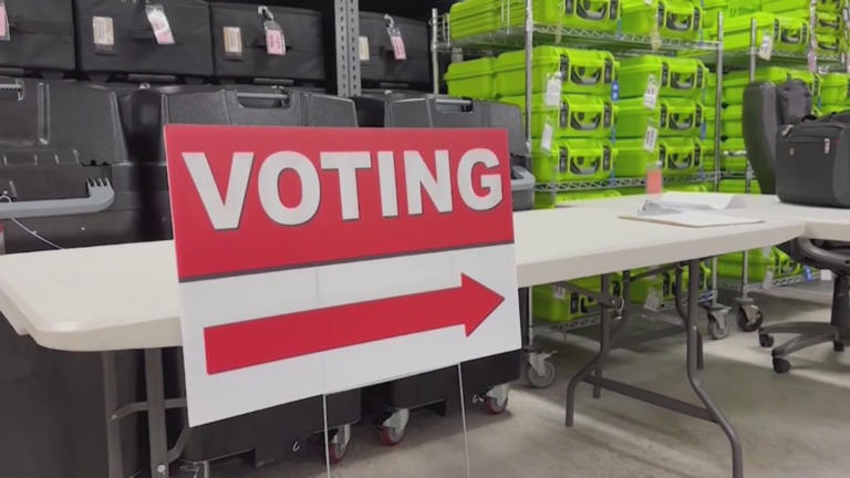 Georgia Primary Run-offs set for June as key races remain undecided