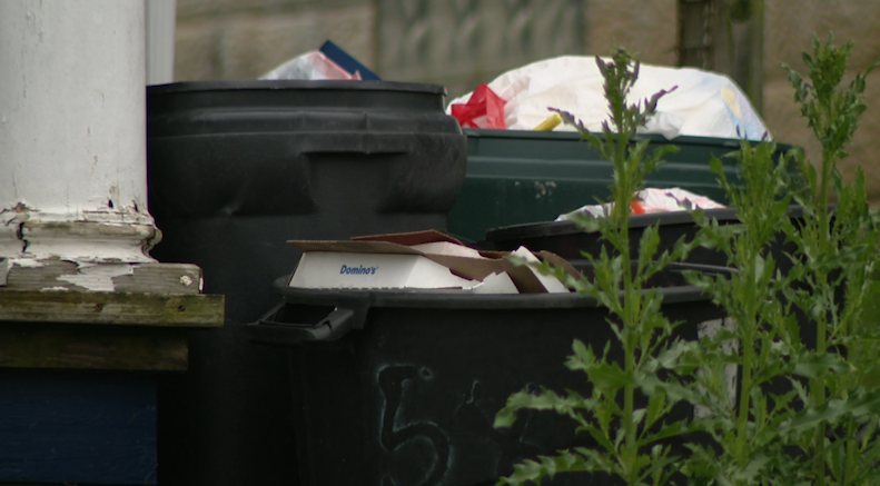 Delayed garbage pick-up frustrating Washington residents
