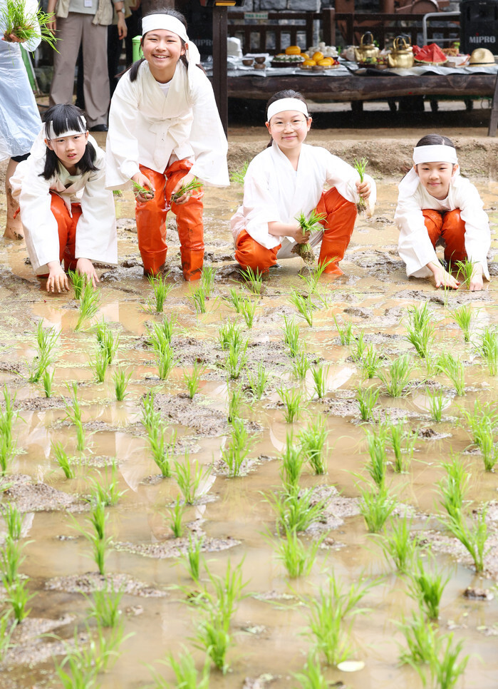 Rice planting