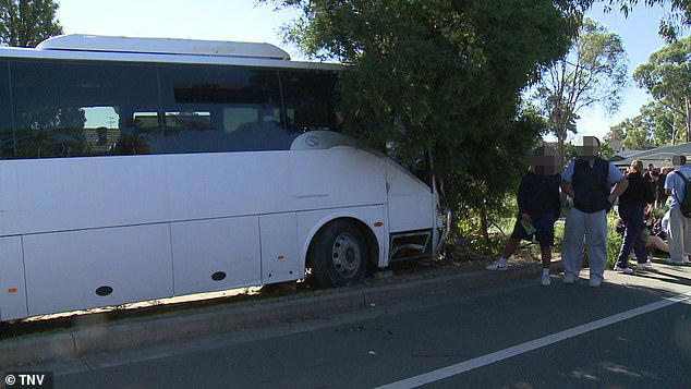 Five students rushed to hospital after packed Sydney school bus crashes